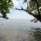 Sajkodi-öböl Tihany - Egyéb