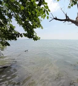 16. legjobb látnivaló: Sajkodi-öböl