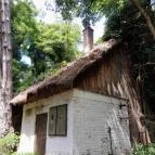 Sajkodi-öböl Tihany - Egyéb