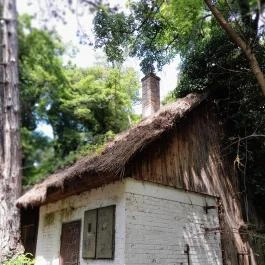 Sajkodi-öböl, Tihany - Egyéb