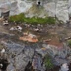 Sas-kövi-barlang Szentendre - Egyéb