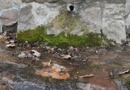 Sas-kövi-barlang Szentendre