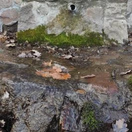 Sas-kövi-barlang, Szentendre - Egyéb