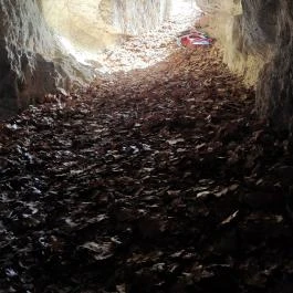 Sas-kövi-barlang, Szentendre - Egyéb