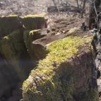 Sas-kövi-barlang Szentendre - Egyéb