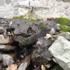 Sas-kövi-barlang Szentendre - Egyéb