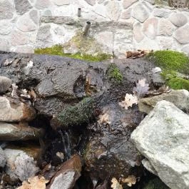 Sas-kövi-barlang, Szentendre - Egyéb