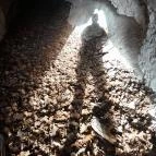 Sas-kövi-barlang Szentendre - Egyéb