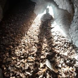 Sas-kövi-barlang, Szentendre - Egyéb