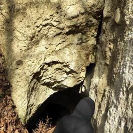 Sas-kövi-barlang Szentendre - Egyéb