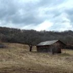 Sas-kövi-barlang Szentendre - Egyéb