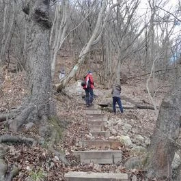 Sas-kövi-barlang, Szentendre - Egyéb