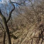 Sas-kövi-barlang Szentendre - Egyéb