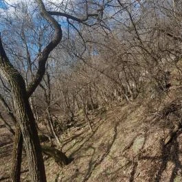 Sas-kövi-barlang, Szentendre - Egyéb