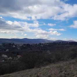 Sas-kövi-barlang, Szentendre - Egyéb