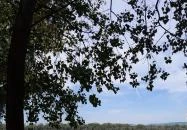 Spartacus-ösvény Visegrád