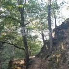 Spartacus-ösvény Visegrád - Egyéb