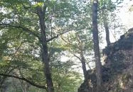 Spartacus-ösvény Visegrád