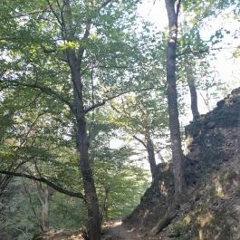 Spartacus-ösvény, Visegrád - Egyéb