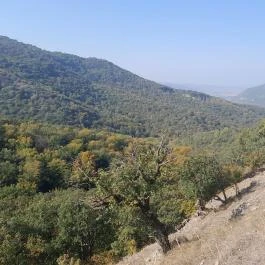 Spartacus-ösvény, Visegrád - Egyéb