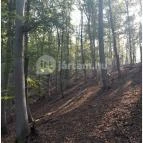 Spartacus-ösvény Visegrád - Egyéb