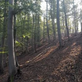 Spartacus-ösvény, Visegrád - Egyéb