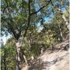 Spartacus-ösvény Visegrád - Egyéb