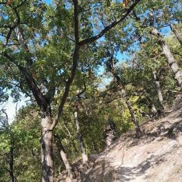 Spartacus-ösvény, Visegrád - Egyéb