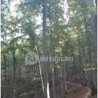 Spartacus-ösvény Visegrád - Egyéb