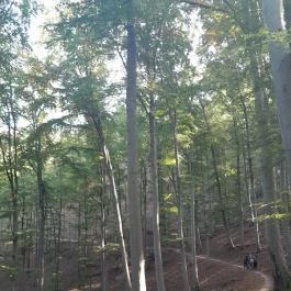 Spartacus-ösvény, Visegrád - Egyéb