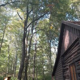 Spartacus-ösvény, Visegrád - Egyéb