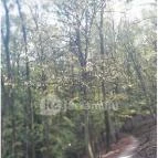 Spartacus-ösvény Visegrád - Egyéb