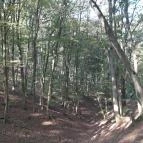 Spartacus-ösvény Visegrád - Egyéb