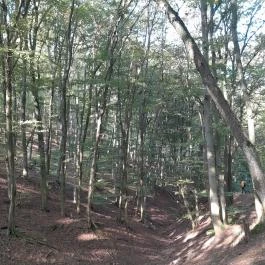 Spartacus-ösvény, Visegrád - Egyéb