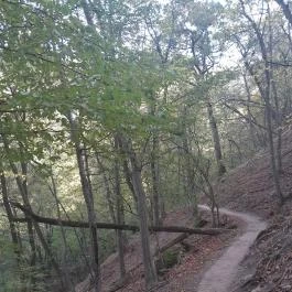 Spartacus-ösvény, Visegrád - Egyéb