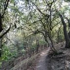 Spartacus-ösvény Visegrád - Egyéb