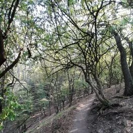 Spartacus-ösvény, Visegrád - Egyéb