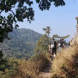 Spartacus-ösvény, Visegrád - Egyéb