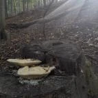 Spartacus-ösvény Visegrád - Egyéb