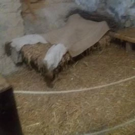 Sümegi vár Sümeg - Egyéb