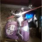 Sümegi vár Sümeg - Egyéb