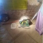 Sümegi vár Sümeg - Egyéb