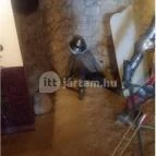 Sümegi vár Sümeg - Egyéb