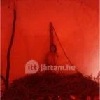 Sümegi vár Sümeg - Egyéb