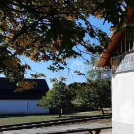 Szabadtéri Néprajzi Múzeum Szentendre - Egyéb