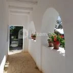 Szabadtéri Néprajzi Múzeum Szentendre - Egyéb