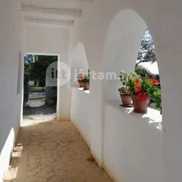 Szabadtéri Néprajzi Múzeum Szentendre - Egyéb