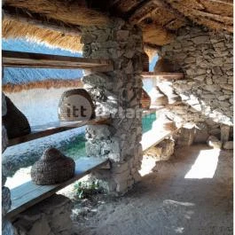 Szabadtéri Néprajzi Múzeum Szentendre - Egyéb