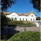 Szabadtéri Néprajzi Múzeum Szentendre - Egyéb