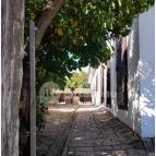 Szabadtéri Néprajzi Múzeum Szentendre - Egyéb